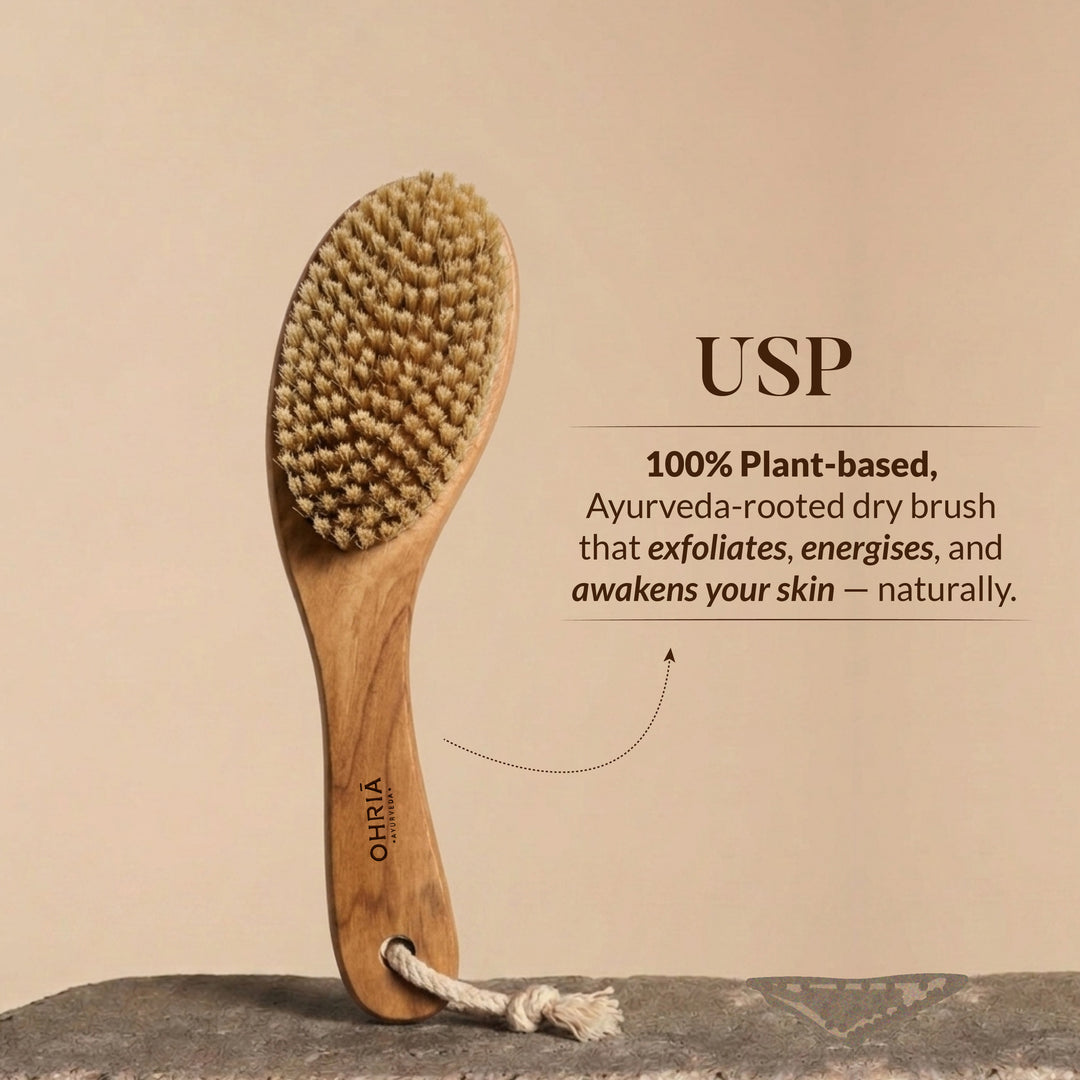 DRY BODY BRUSH