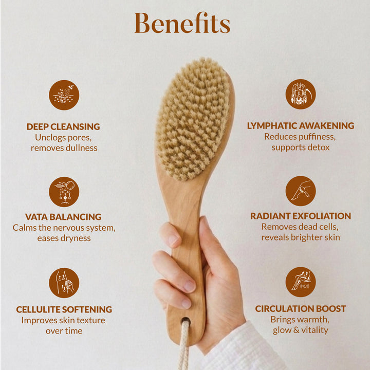 DRY BODY BRUSH