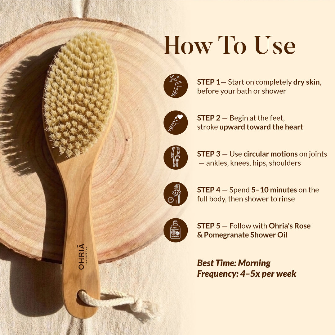 DRY BODY BRUSH