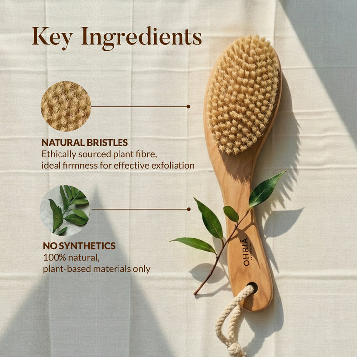 DRY BODY BRUSH