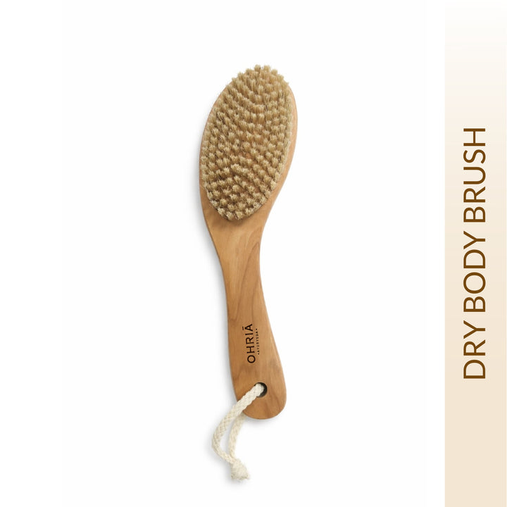 DRY BODY BRUSH